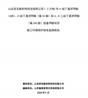 山東祥東新材料科技有限公司1.2萬噸/年6-叔丁基鄰甲(60K)、4-叔丁基鄰甲酚(偏 24 酚)和 4，6-二叔丁基鄰甲酚(偏 246 酚)烷基甲酚項(xiàng)目竣工環(huán)境保護(hù)驗(yàn)收監(jiān)測(cè)報(bào)告